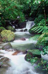 FB_IMG_1430355979731